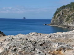 L1030559