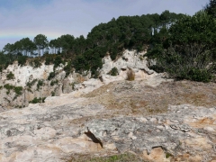 L1030567